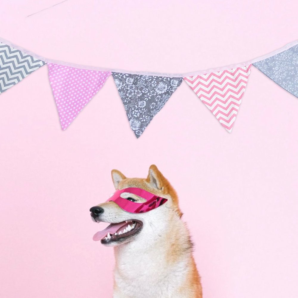 Celebration Party Fabric Banner Flags Decor
